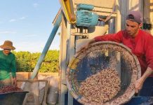 Prazo para inscrições do 5º Concafé em Rondônia é prorrogado até o dia 21 de agosto