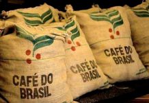 CAFÉ: país pode fechar safra 20/21 com embarques acima de 40 mi de sacas