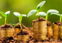 PIB do agronegócio cresce 3,78% no 1° quadrimestre de 2020