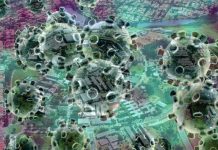 Vilhena confirma neste sábado 29 casos de covid-19 e total vai a 907 com 701 curados