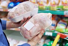 FRANGO: apesar de queda nos embarques, preço interno da carne está firme