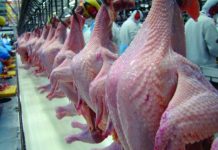 Preços do frango voltam a subir