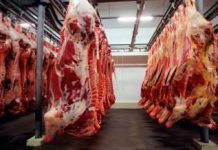 Exportações de carne bovina batem recorde