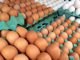 OVOS: maior demanda e oferta limitada elevam preços