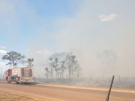 Explosão em transformador de alta tensão deixa três municípios sem energia por mais de 3 horas e provoca incêndio em vegetação em Cerejeiras
