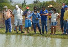 Rondônia dever ter implantação de centro de abastecimento de alimentos