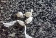 Homem tenta engolir papelotes de cocaína antes de ser abordado pela polícia em Vilhena