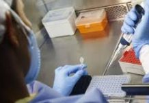 COVID-19: Rondônia registrou 291 novos casos e 11 mortes nas últimas 24 horas