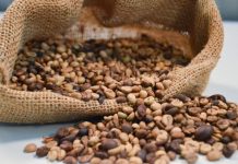 Incentivo do consumo de café rondoniense gera maior introdução no comércio local