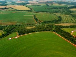 Prazo de entrega das declarações de ITR 2020 vai até dia 30 de setembro