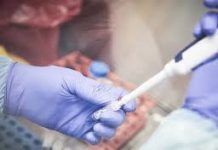 Rondônia totaliza 7.275 casos ativos de covid-19 e 63.267 infectados confirmados