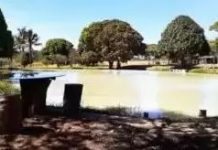 Sábado tem “pagonejo” e promoção de chopp no Pesque Pague Restaurante Roque de Vilhena