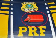 Homem é preso transportando 480 gramas de maconha em Vilhena