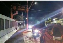 PF deflagra operação para prender membros de organização criminosa acusados de invadir terras indígenas em RO