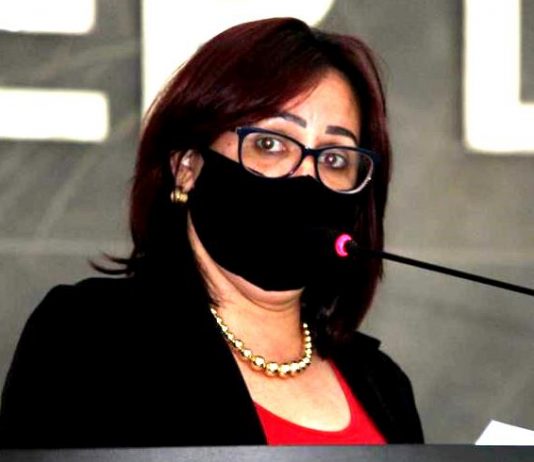 Luta de Vera da Farmácia, projeto que regulariza espaços para carga e descarga de produtos é aprovado pela Câmara em Vilhena