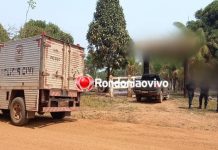 FATALIDADE: trabalhador morre após levar coice de vaca em curral de fazenda