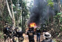 IBAMA destrói maquinários usados por invasores que desmatavam terras indígenas em RO; fotos