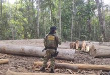 PF deflaga 2ª fase da operação “Êxodo” e pede bloqueio de mais de R$ 100 minhões de investigados em RO