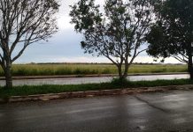 Usuário da BR 174 reclama da escuridão nas proximidades do parque ecológico e de ciclistas que trafegam sem sinalização na rodovia