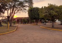 COVID-19: Vilhena registra 17 novos casos nesta sexta; veja boletim