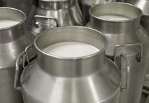 Preço do leite captado em outubro e pago em novembro deve registrar queda