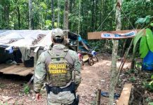 PF de Vilhena e Ibama combatem crimes ambientais em terras indígenas em RO