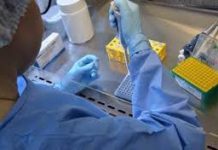 COVID-19: Rondônia tem 77.186 pacientes curados e 10.163 casos ativos; veja boletim deste domingo