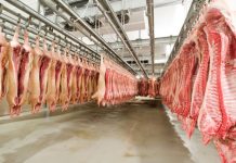 Exportações de aves e suínos seguem em alta em 2020