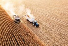 PIB cresce 7,7% no 3º trimestre de 2020 segundo IBGE