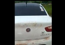 Carro com placa de Vilhena é abandonado no meio de rodovia entre Colorado e Cabixi