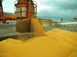 China foi principal destino dos produtos exportados pelo Brasil em 2020