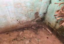 Em Porto Velho, jovem com deficiência é arrastada para apartamento e estuprada