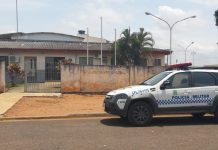 Sitiante tem cachorro morto a tiros em Cerejeiras e polícia investiga