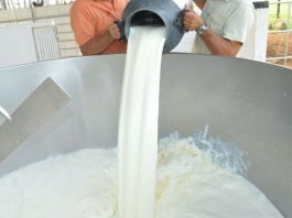 Em RO, Conseleite publica novos preços de referência do leite