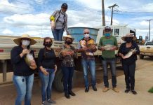 Prefeitura de Alto Paraíso entrega mais de 1,5 toneladas de peixes à família carentes na Semana Santa