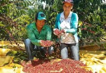 Agricultores indígenas de Rondônia receberão financiamento do Pronaf