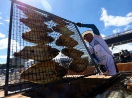 “Festival do Tambaqui” de Rondônia quer ganhar o Brasil