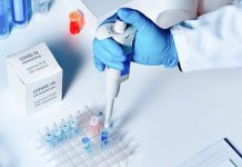 COVID-19: Rondônia registra 204 novos casos e 6 mortes nas últimas 24 horas; veja boletim