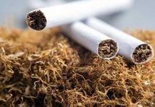 ARTIGO: A influência do tabaco na sociedade