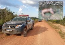 Corpo de homem é encontrado em estado de decomposição na área rural de Cerejeiras