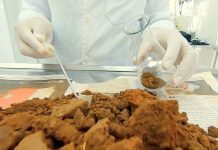 Produtores locais serão beneficiados com novo laboratório de solos no Ifro campus Cacoal