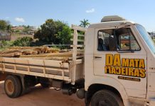 Apenado que responde a 36 processos é preso em flagrante após furtar caminhão em Colorado