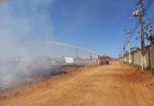 VÍDEO: incêndio criminoso em terrenos baldios ameaça casas e mobiliza bombeiros em Vilhena
