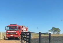 Fogo às margens da BR-435 invade propriedade e destrói cerca de 10 alqueires de pasto em Colorado