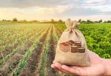 Aplicação do crédito rural ultrapassa R$ 271 bilhões no final da temporada 2020/2021