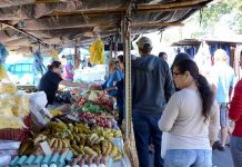 Feirante denuncia fiscal da prefeitura após ser mandada “calar a boca” e temer perder ponto em Vilhena