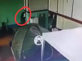 VÍDEO: ladrões invadem loja, roubam 7 armas de fogo e mais de 2 mil munições em Pimenta Bueno