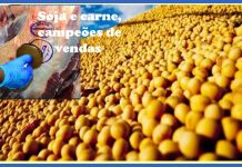 OPINIÃO DE PRIMEIRA: produtos de RO invadem o mundo: faturamento é de mais de R$ 3 bi e 100 milhões em seis meses