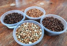 Inscrições do concurso de qualidade e sustentabilidade do café de RO são prorrogadas