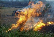 Emater reforça orientação para prevenção às queimadas